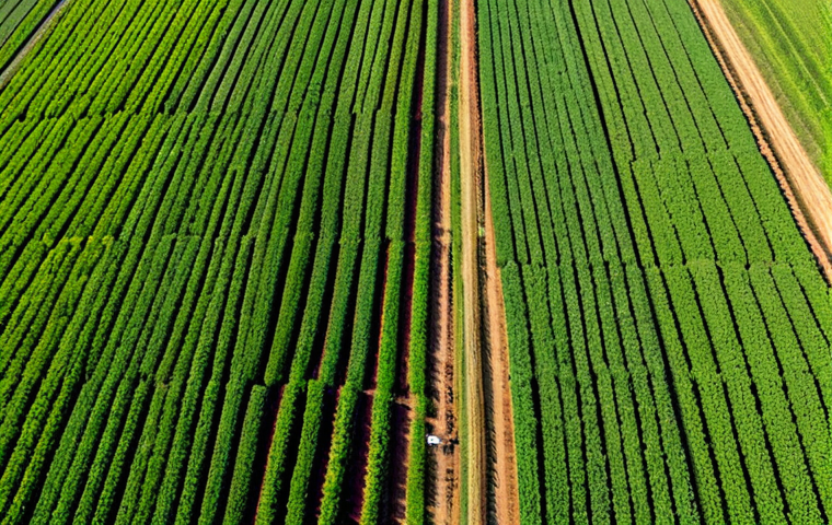 فوڈ - 이미지 1