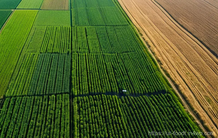 푸드테크 기술을 통해 해결할 수 있는 문제 - **Prompt: "An expansive, futuristic cityscape at dawn, with towering skyscrapers seamlessly integrat...